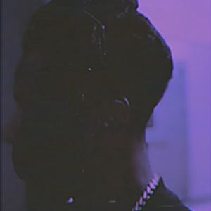 Meet your Posher, Dolphin